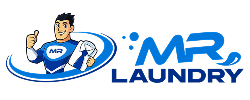 Mr Laundry